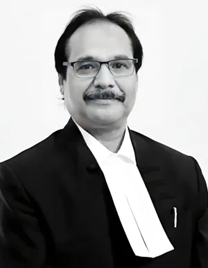 Portrait of Justice Prashant Kumar Mishra