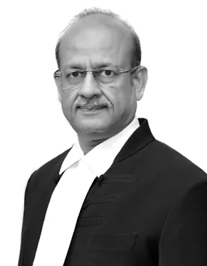 Portrait of Justice Rajesh Bindal