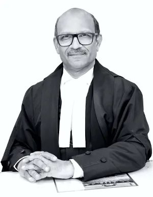 Portrait of Justice Sandeep Mehta