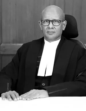 Portrait of Justice Sanjay Kumar
