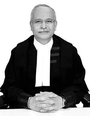 Portrait of Justice Satish Chandra Sharma